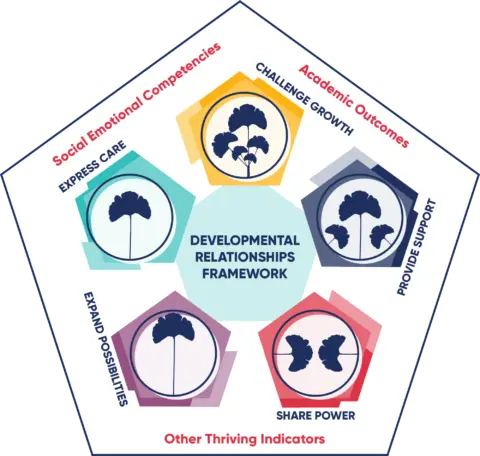 DR Framework infographic fidget spinner