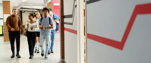 DR In Schools Brief Hero